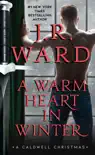 A Warm Heart in Winter synopsis, comments