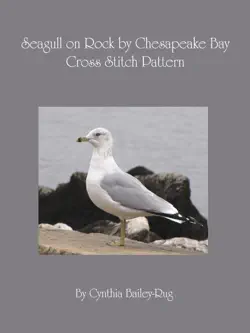 seagull on rock by chesapeake bay cross stitch pattern book cover image
