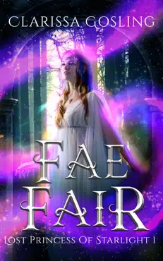 fae fair book cover image