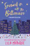 Snowed In with the Billionaire synopsis, comments