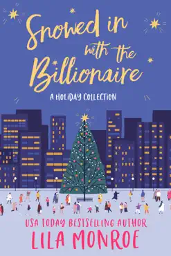 snowed in with the billionaire book cover image