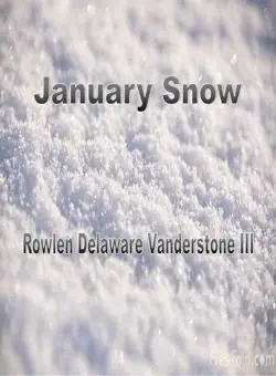 january snow book cover image