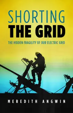shorting the grid book cover image