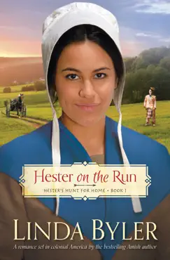 hester on the run imagen de la portada del libro