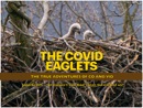 THE COVID EAGLETS book summary, reviews and downlod