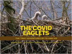 the covid eaglets book cover image