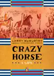 Crazy Horse synopsis, comments