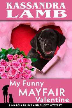 my funny mayfair valentine book cover image