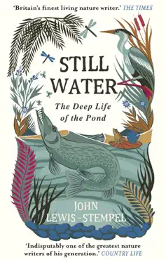 still water imagen de la portada del libro