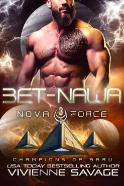 bet-nawa book cover image