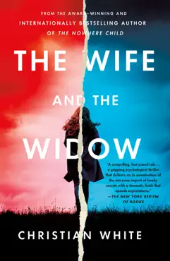 the wife and the widow book cover image