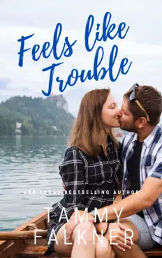 feels like trouble book cover image