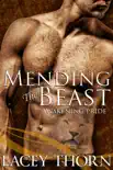 Mending the Beast synopsis, comments