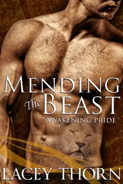 mending the beast book cover image