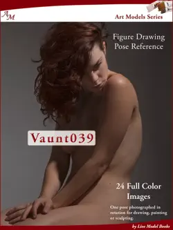 art models vaunt039 book cover image
