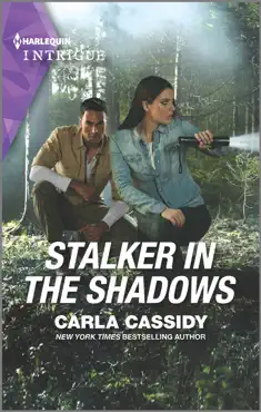 stalker in the shadows book cover image