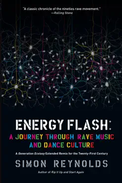 energy flash book cover image