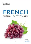 Collins French Visual Dictionary synopsis, comments