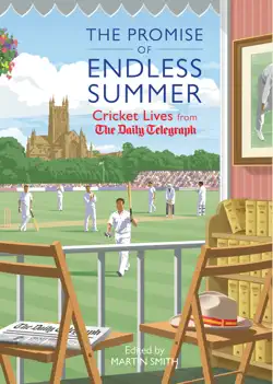 the promise of endless summer book cover image
