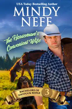the horseman's convenient wife book cover image