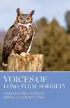 Voices of Long-Term Sobriety synopsis, comments