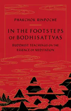 in the footsteps of bodhisattvas imagen de la portada del libro
