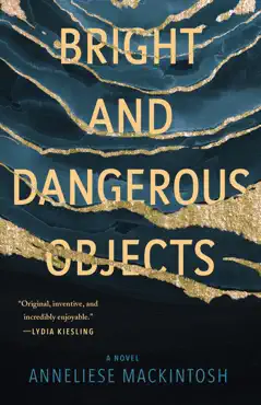 bright and dangerous objects book cover image