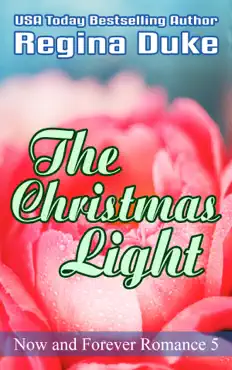 the christmas light book cover image