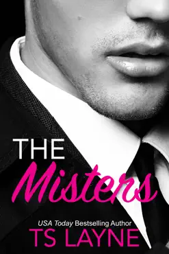 the misters book cover image