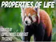Properties of Life synopsis, comments