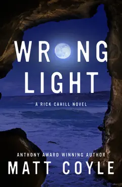 wrong light book cover image