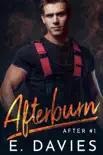 Afterburn synopsis, comments