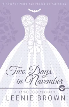 two days in november book cover image