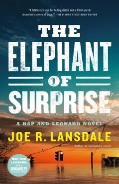 the elephant of surprise book cover image