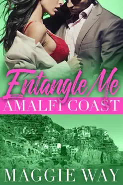 amalfi coast book cover image