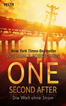 one second after - die welt ohne strom book cover image