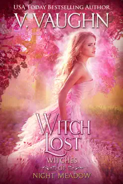witch lost book cover image