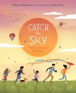 catch the sky book cover image