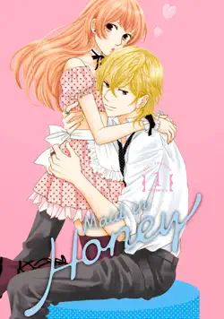 maid in honey volume 1 book cover image