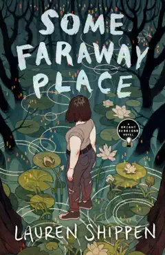 some faraway place book cover image