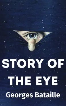 story of the eye book cover image