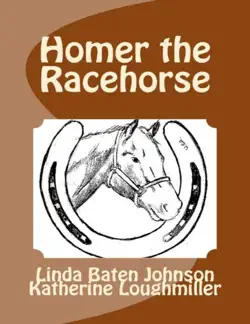 homer the racehorse book cover image