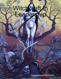 witchcraft in leadership book cover image