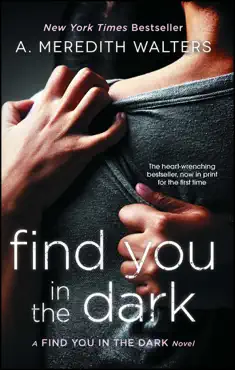 find you in the dark book cover image