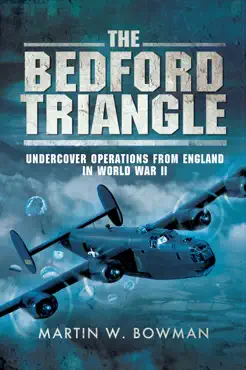the bedford triangle book cover image