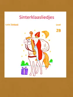 sinterklaasliedjes 2b book cover image