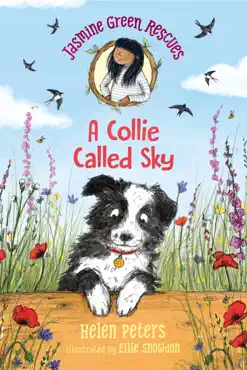 jasmine green rescues: a collie called sky book cover image