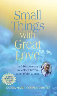 small things with great love book cover image