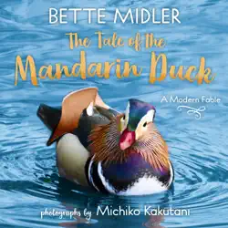 the tale of the mandarin duck book cover image