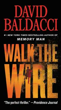 walk the wire book cover image